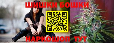 СК Шелехов
