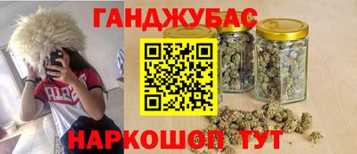 СК Шелехов