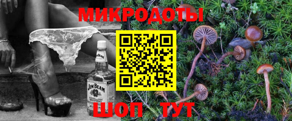 Галлюциногенные грибы Psilocybe  Вход с VPN  Большой Камень 