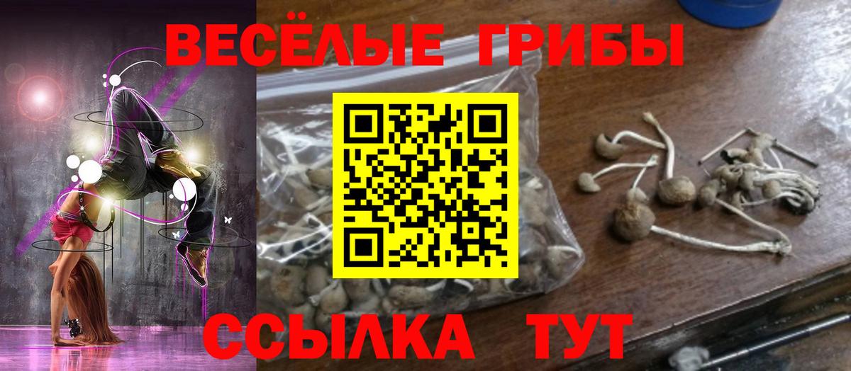 Псилоцибиновые грибы ЛСД Большой Камень